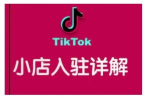 TikTok跨境小店运营全攻略,帮助你独立运营TK跨境小店的能力,实现销量增长-林文副业站