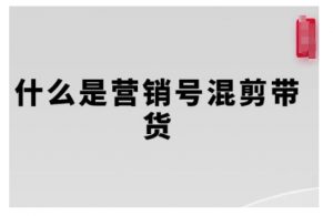 营销号混剪带货，从内容创作到流量变现的全流程，教你用营销号形式做混剪带货-林文副业站