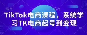 TikTok电商课程，​系统学习TK电商起号到变现-林文副业站
