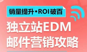 销量提升•ROI破百 独立站EDM邮件营销攻略,如何通过邮件营销每年获得100万美金销售额!-林文副业站