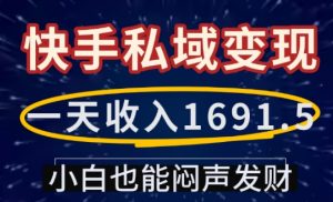 一天收入1691.5,快手私域变现,小白也能闷声发财-林文副业站