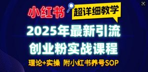 2025年最新小红书引流创业粉实战课程【超详细教学】小白轻松上手，月入1W+，附小红书养号SOP-林文副业站