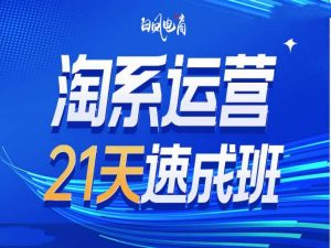 淘系运营21天速成班35期,年前最后一波和2025方向-林文副业站