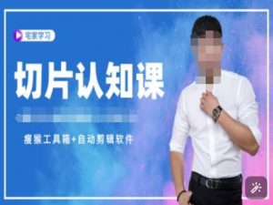 切片认知课+赠(资料包+送授权)-直播切片教程-林文副业站