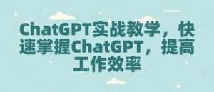 ChatGPT实战教学，快速掌握ChatGPT，提高工作效率-林文副业站