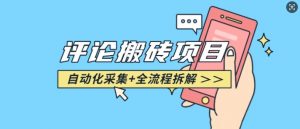 悟空采集评论搬砖_评论搬砖+自动采集【完整攻略】-林文副业站