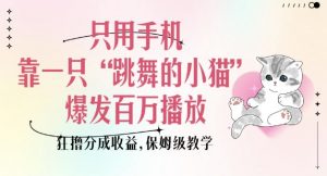 只用手机靠一只“跳舞的小猫”爆发百万播放，狂撸分成收益，保姆级教学-林文副业站