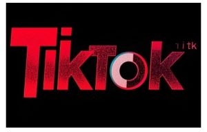 TikTok ads投流秘籍，涵盖tiktok整体投放思路，教你搭建测试计划-林文副业站