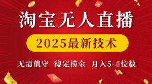 淘宝无人直播2025最新技术 无需值守，稳定捞金，月入5位数【揭秘】-林文副业站