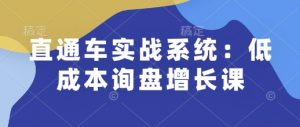 直通车实战系统：低成本询盘增长课，让个人通过技能实现升职加薪，让企业低成本获客，订单源源不断-林文副业站