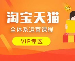 淘宝天猫全体系运营课程：店铺全系运营、动销玩法、付费推广、流量提升、擦边球玩法等等-林文副业站