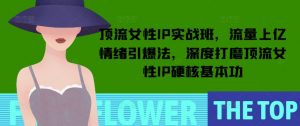 顶流女性IP实战班，流量上亿情绪引爆法，深度打磨顶流女性IP硬核基本功-林文副业站