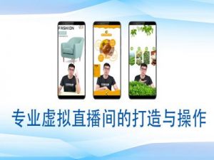 个人虚拟直播间的搭建与操作，专业虚拟直播间的打造与操作-林文副业站