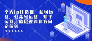 个人ip打造课，私域运营，公众号运营，知乎运营，底层逻辑和方向定位等-林文副业站