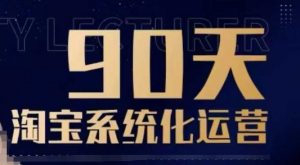 90天淘宝系统化运营,从入门到精通-林文副业站