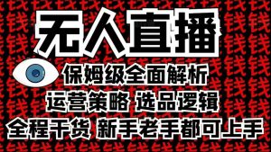2025无人直播这么做就对了，保姆级全面解析，全程干货，新手老手都可上手-林文副业站