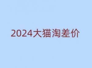 2024版大猫淘差价课程,新手也能学的无货源电商课程-林文副业站
