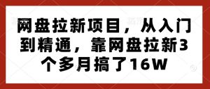 网盘拉新项目,从入门到精通,靠网盘拉新3个多月搞了16W-林文副业站