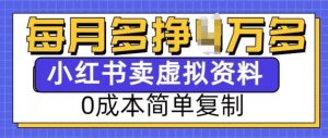 小红书虚拟资料项目，0成本简单复制，每个月多挣1W【揭秘】-林文副业站