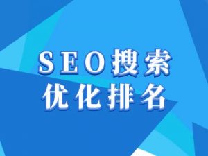 抖音搜索SEO教程，抖音SEO搜索优化排名-林文副业站