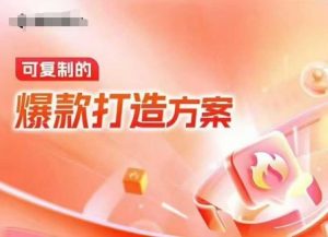 天猫电商爆款运营，可复制的爆款打造方案(线下内训课录音+字幕)-林文副业站