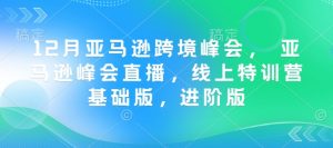 12月亚马逊跨境峰会, 亚马逊峰会直播,线上特训营基础版,进阶版-林文副业站