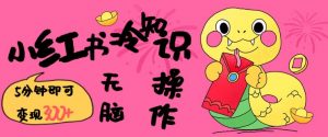 小红书冷知识账号，无脑复制粘贴，5分钟即可变现3张-林文副业站