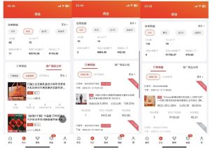 2025最新京东蓝海项目，0 门槛日入 1k+，小白宝妈轻松上手【揭秘】-林文副业站