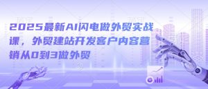 2025最新AI闪电做外贸实战课，外贸建站开发客户内容营销从0到3做外贸-林文副业站