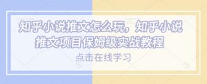 知乎小说推文怎么玩，知乎小说推文项目保姆级实战教程-林文副业站