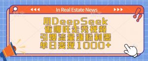 用DeepSeek做哪吒走秀视频,引爆流量涨粉利器,单日变现1k-林文副业站