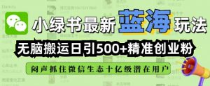 小绿书无脑搬运引流，全自动日引500精准创业粉，微信生态内又一个闷声发财的机会-林文副业站