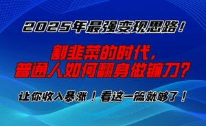 2025年最强变现思路，割韭菜的时代， 普通人如何翻身做镰刀？【揭秘】-林文副业站