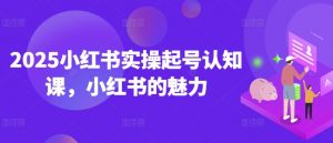 2025小红书实操起号认知课，小红书的魅力-林文副业站