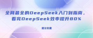 全网最全的DeepSeek入门到指南，看完DeepSeek效率提升80%(建议收藏)-林文副业站