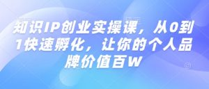 知识IP创业实操课,从0到1快速孵化,让你的个人品牌价值百W-林文副业站
