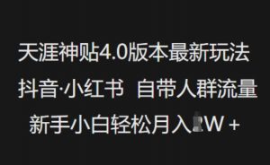 天涯神贴4.0版本最新玩法，抖音·小红书自带人群流量，新手小白轻松月入过W-林文副业站