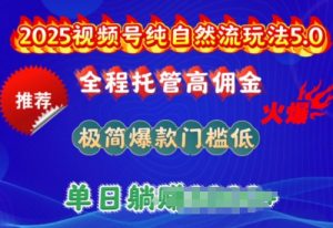 2025视频号纯自然流玩法5.0，全程托管高佣金，极简爆款门槛低，单日收益多张【揭秘】-林文副业站