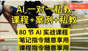 AI指令实战课,课程+案例,80节AI实战课程,笔记指令随意享用,课程指令随意享用-林文副业站