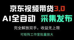 京东视频带货3.0，Ai全自动采集+自动发布，完全解放双手，收入无上限-林文副业站
