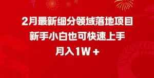 2月最新细分领域落地项目，新手小白也可快速上手，月入1W-林文副业站