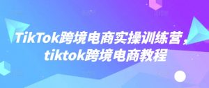 TikTok跨境电商实操训练营,tiktok跨境电商教程-林文副业站
