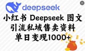 小红书Deepseek图文引流私域售卖资料，单日变现多张-林文副业站