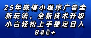 2025年微信小程序全新玩法纯小白易上手，稳定日入多张，技术全新升级，全网首发【揭秘】-林文副业站