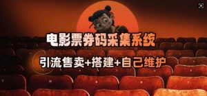 电影票券码采集系统_从商户放单转型做抢单达人-林文副业站