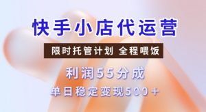快手小店代运营3.0，模式新升级，收益55分，稳定单日5张【揭秘】-林文副业站