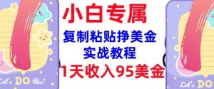 复制粘贴挣美金，0门槛，1天收入95美刀，3分钟学会，内部教程(首次公开)-林文副业站