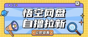全网首发悟空网盘云真机自撸拉新项目玩法单机可挣10.20不等-林文副业站