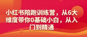 小红书陪跑训练营，从6大维度带你0基础小白，从入门到精通-林文副业站