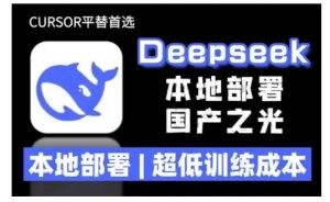 2025年deepseek R1 大型模型本地安装部署(文件+教程)本地部署，超低训练成本-林文副业站